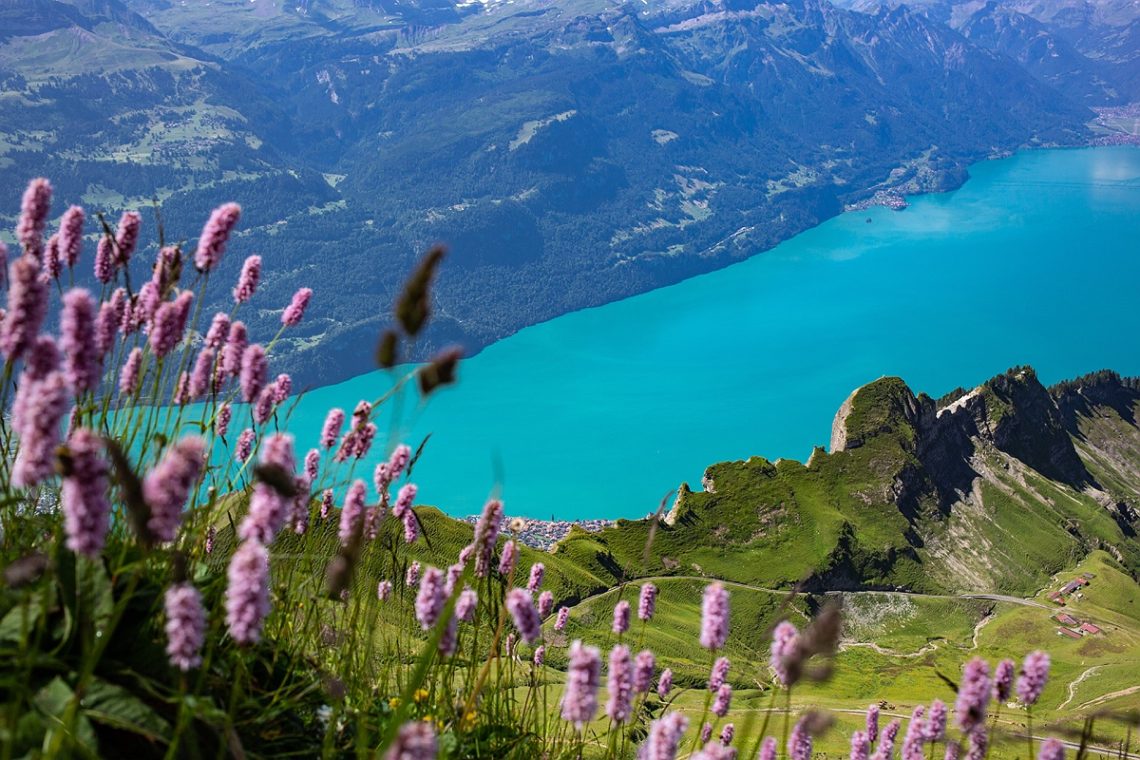 Вид на озеро Бриенц с площадки Бриенц Ротхорн, Бернские Альпы
