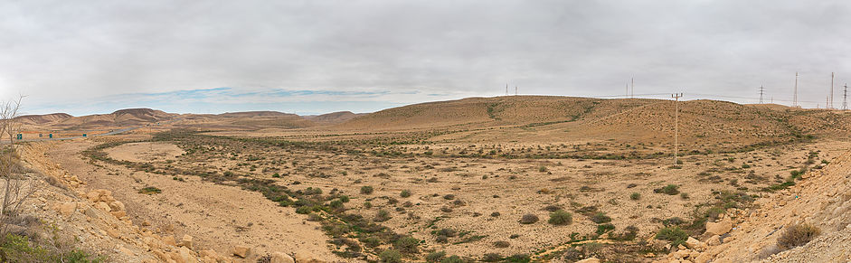 Путешествие по пустыням Израиля: пустыня Негев (южная пустыня)